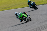 PJ-Motorsport-2019;anglesey-no-limits-trackday;anglesey-photographs;anglesey-trackday-photographs;enduro-digital-images;event-digital-images;eventdigitalimages;no-limits-trackdays;peter-wileman-photography;racing-digital-images;trac-mon;trackday-digital-images;trackday-photos;ty-croes
